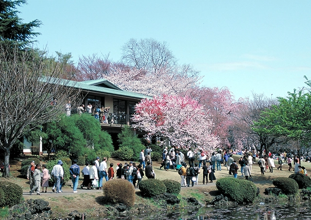 Shinjuku Gyoen National Garden / Approximately 22 minutes by train and on foot