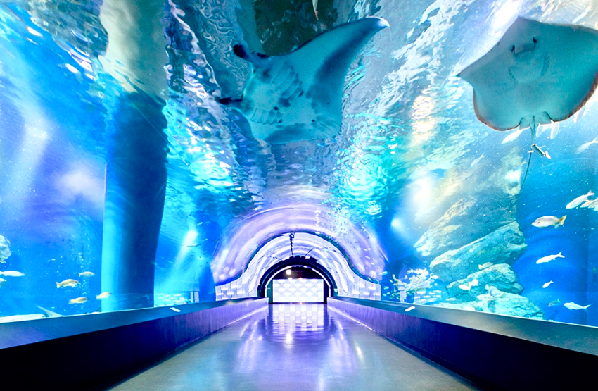 Maxell Aqua Park Shinagawa