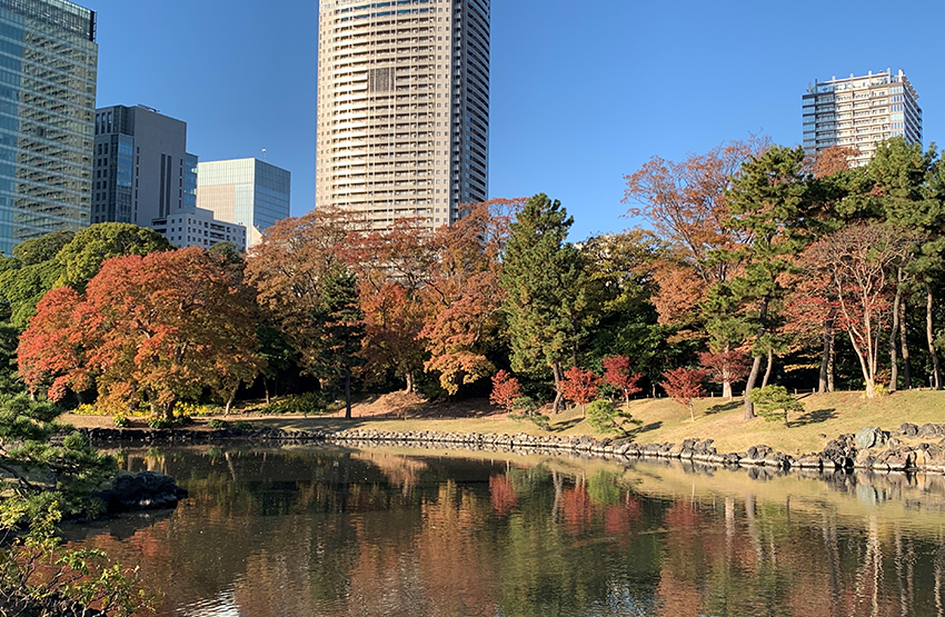 Hama-rikyu Gardens