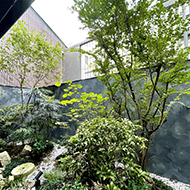 [Max 4 Guests] Deluxe Twin with Terrace (2 beds, 140 cm wide)