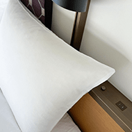 Bedside outlet/ Japanese Moderate Double