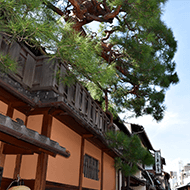 Hanamikoji/approximately 3 minutes walk