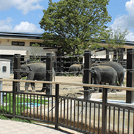 Kyoto City Zoo/approximately 10 minutes by car