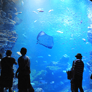 KYOTO AQUARIUM / Approximately 14 minutes by car