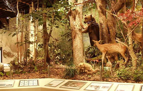 Otaru Museum of History and Nature