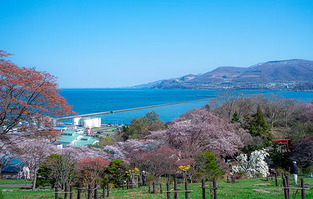 Temiya Park