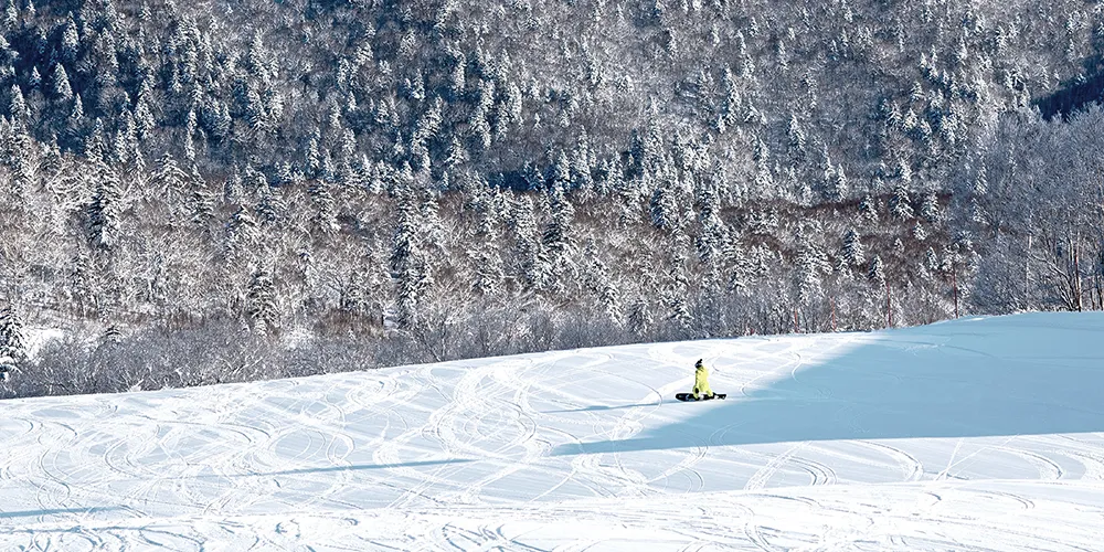 Sapporo Kokusai Ski Resort