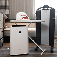 Rental equipment/Iron