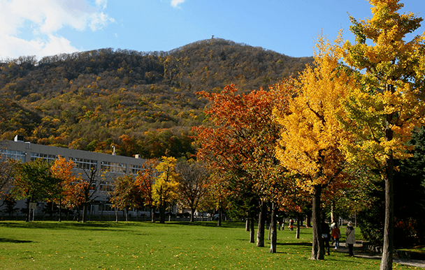 Mt. Moiwa Summit Observation Deck 2