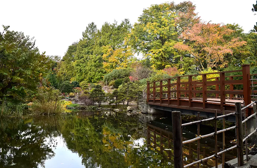 Botanic Garden, Hokkaido University