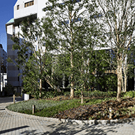 In front of the entrance/garden