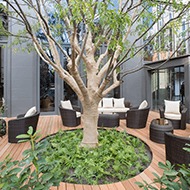 1F Live Cafe G/Terrace seats