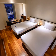 Executive Mature Twin