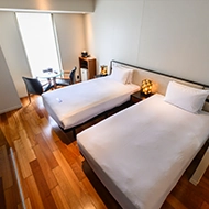 Executive Mature Twin