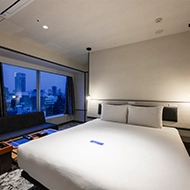 Executive double windows