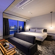 Executive double windows