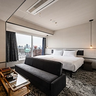 Executive double windows