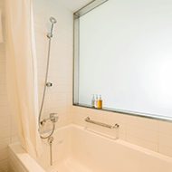 Superior Hollywood Twin (bathroom)