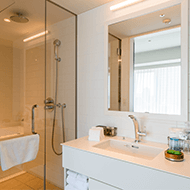 Executive Studio Double (Bathroom)