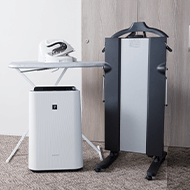 Rental equipment: Iron, air purifier