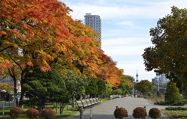 Odori Park 2
